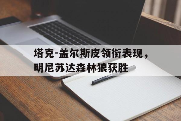 塔克-盖尔斯皮领衔表现，明尼苏达森林狼获胜