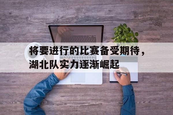 将要进行的比赛备受期待，湖北队实力逐渐崛起-bet365官方网站网址